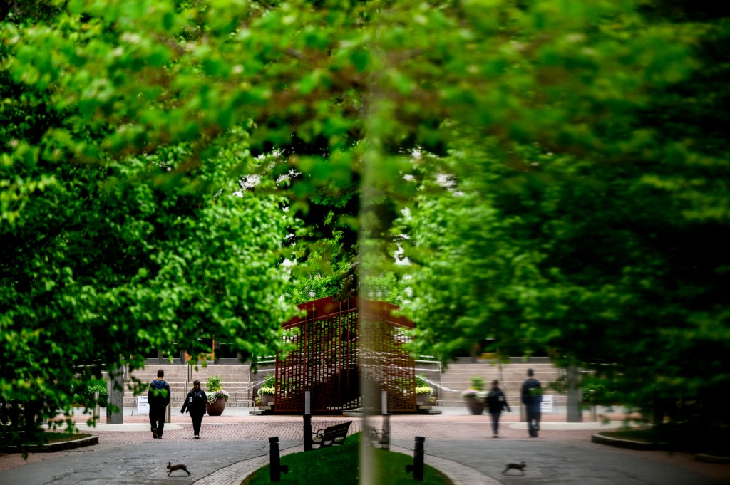 A quiet outdoor path lined with trees shows a few people walking and a small animal crossing in the foreground, with reflections creating a symmetrical effect.