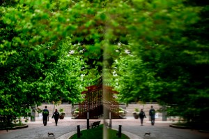 A quiet outdoor path lined with trees shows a few people walking and a small animal crossing in the foreground, with reflections creating a symmetrical effect.
