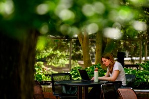 A person sits alone at an outdoor table, focused on a laptop, surrounded by trees and greenery on a sunny day.