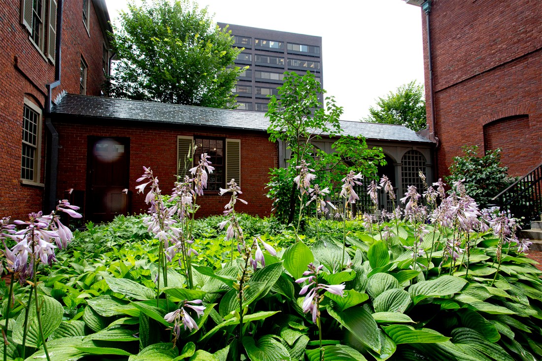 A garden outside of a brick building in Portland, Maine.