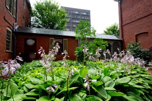 A garden outside of a brick building in Portland, Maine.