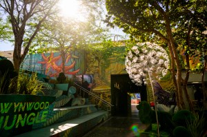 A daytime photograph showing the entrance to Wynwood Jungle, featuring colorful street art murals on walls and structures.