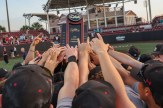 Mens baseball players stand in a huddle with their hands raised.