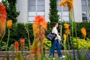 A person walks past colorful flowers in an outdoor campus setting.