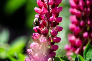 A close-up view of natural elements in a campus setting on a sunny day.
