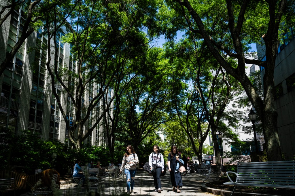 People walk along a tree-lined path on a sunny day.