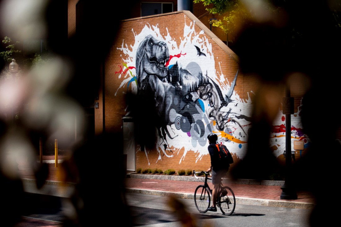 Person riding a bicycle past a colorful spray paint mural featuring a dinosaur on a brick building.