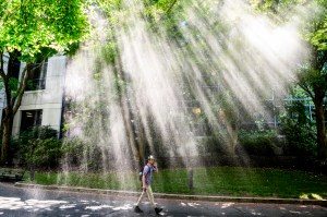 A person walks through a sunlit outdoor area with mist and trees in the background.
