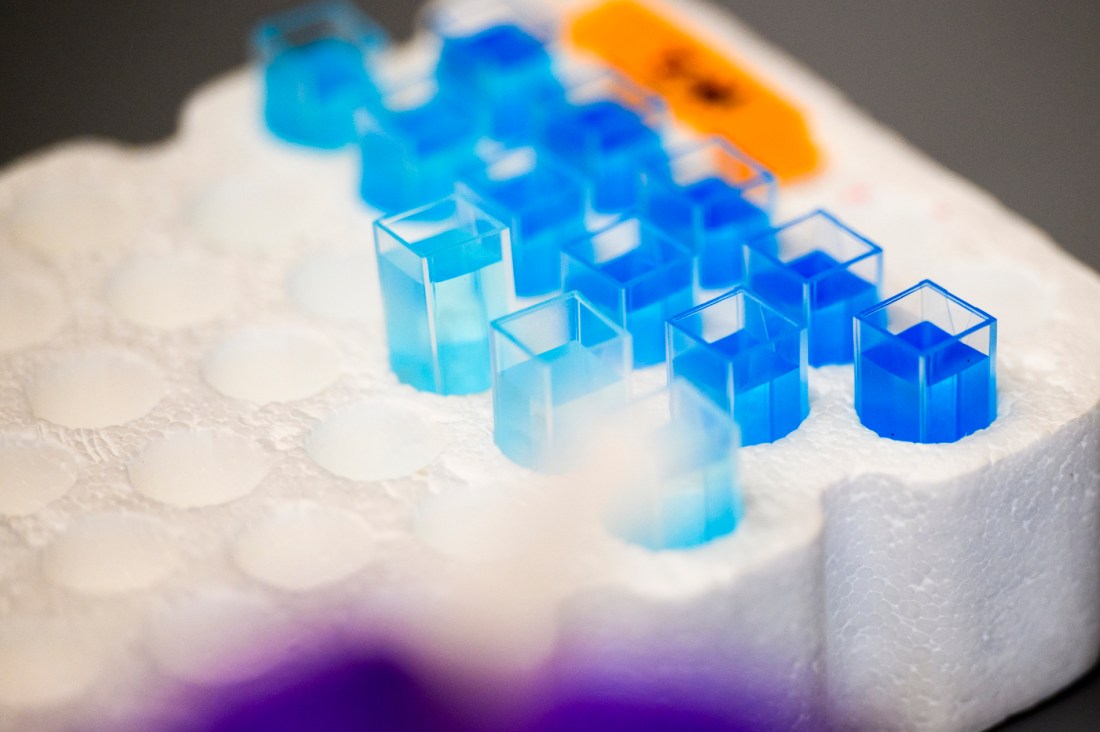 Plastic containers of blue liquid in a Styrofoam holder.