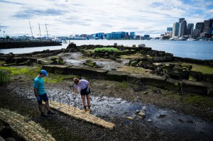A couple of Northeastern scientists at work on the floating wetlands in East Boston.