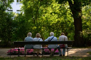 A group of older adults sitting together on a bench, seen from behind.