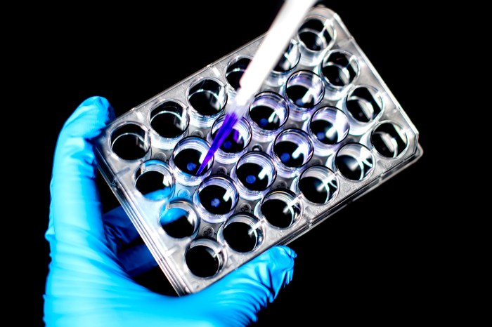 A researcher handling a scientific instrument in blue gloves.