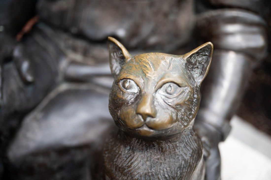 A closeup of the cat portion of the Shillman Cat statue. The cat has a bronze-colored forehead from where it has been pet.