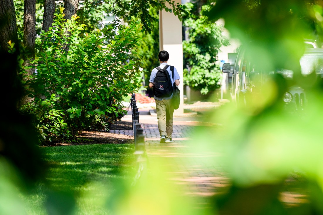 A person with a backpack walks along a sunlit path near Curry Student Center at Northeastern University, surrounded by lush summer greenery.