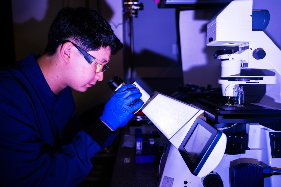 Langqi Xing, a Northeastern mechanical engineering student, examines a sample through a microscope in a research lab, surrounded by scientific equipment and blue lighting.