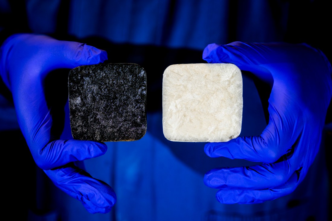 Close-up of gloved hands holding two square material samples—one black and one white—used in solar energy research at Northeastern University, showcasing the contrast in nanoscale functional materials studied by Professor Yi Zheng.