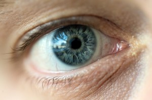 Close-up of the right blue eye of a person. They are wearing contacts.