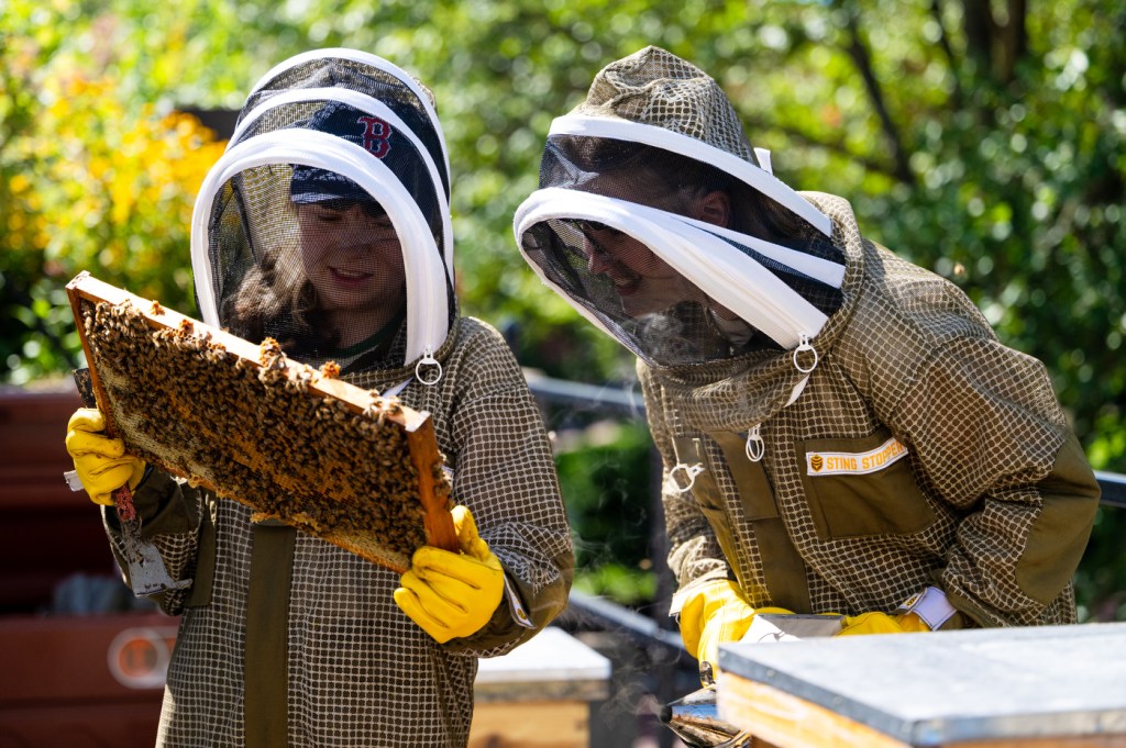 Two beekeepers wearing protective suits with white veiled hats examine a honeycomb frame covered in bees. The person on the left holds up the wooden frame while both inspect the hive, with trees and greenery visible in the background.