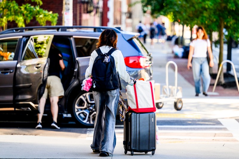 A person holds a suitcase and tote bag while looking at a car.