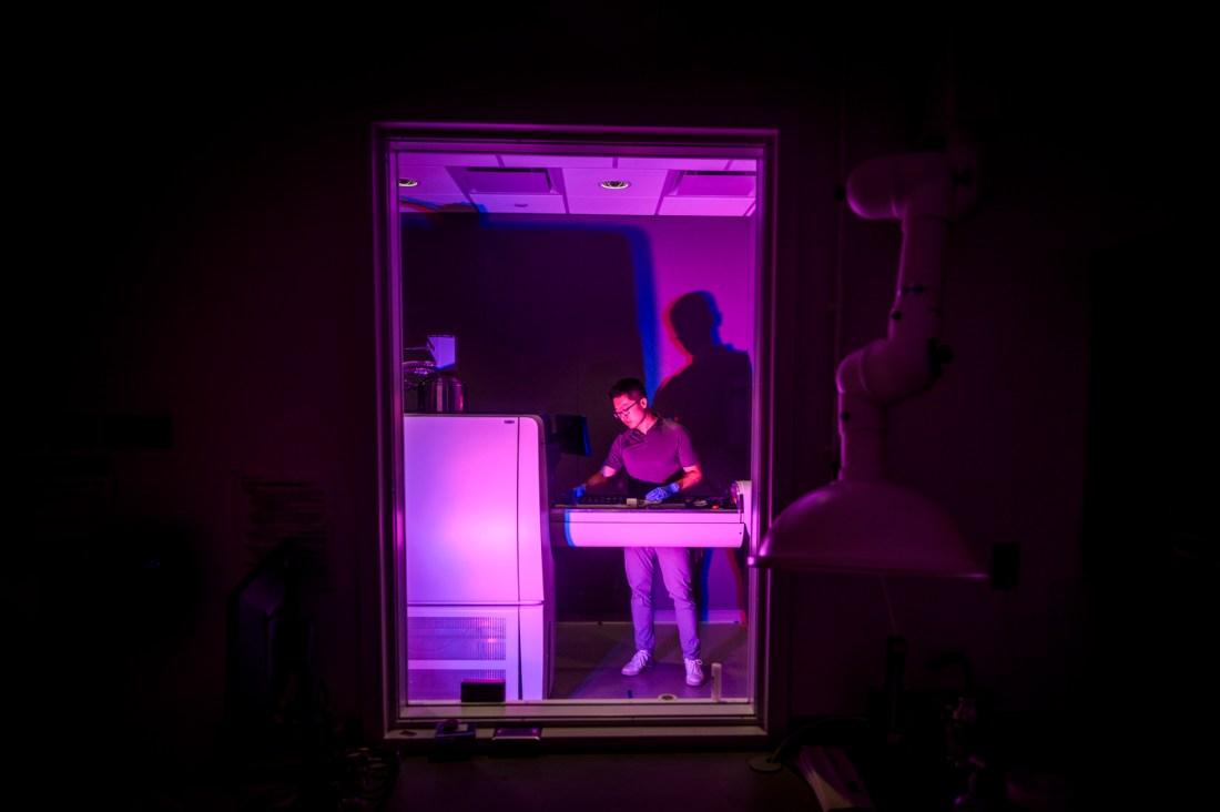 Researcher Tao Sun works with ultrasound equipment in a purple-lit laboratory. 