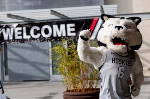 Paws, Northeastern University's mascot, seen offering a greeting.