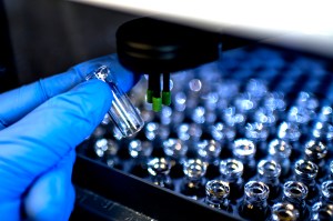 A blue-gloved researcher holds a small vial in a lab.