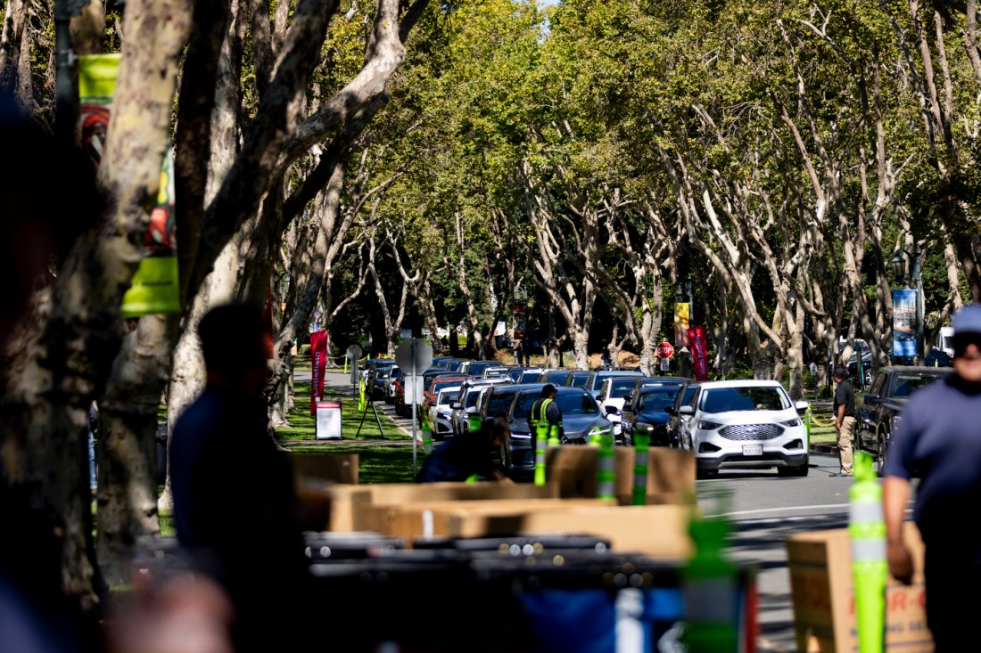 A line of cars on a tree lined street on the Oakland campus. 