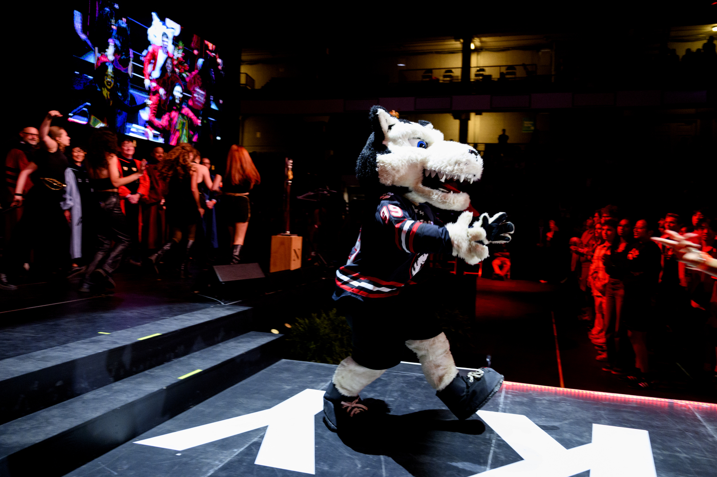 Paws walks across the stage at convocation.