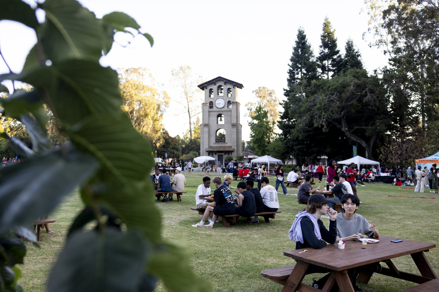 Students sitting at picnic tables on a lawn next to the bell tower on the Oakland campus.