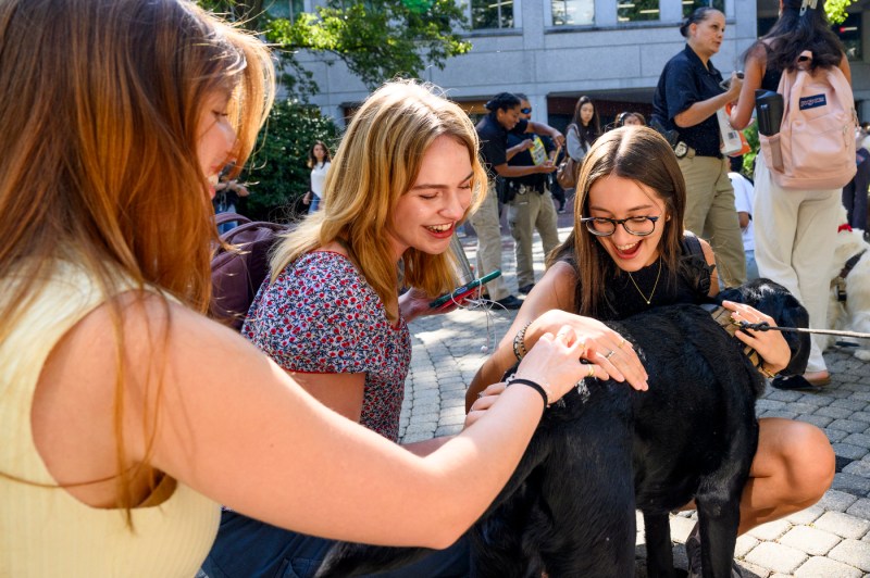 Students pet Sarge, a campus dog.