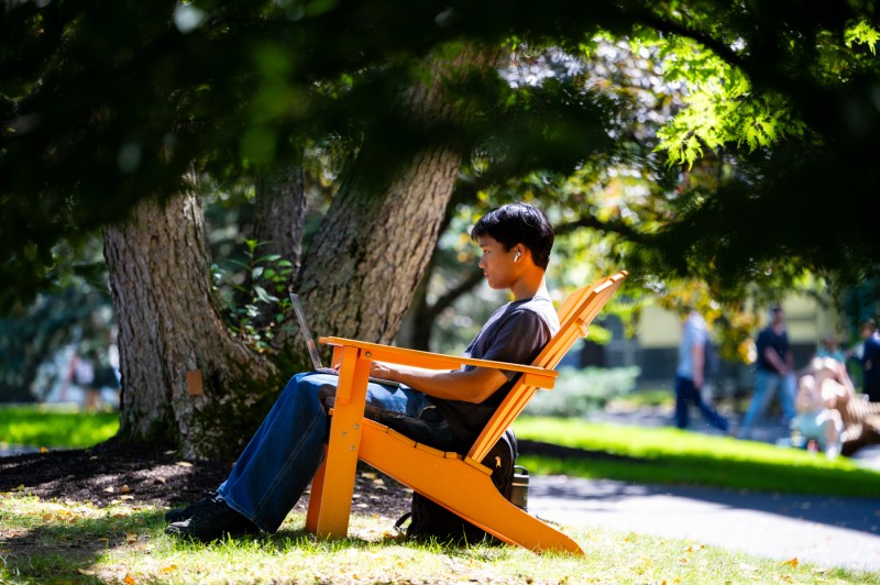 A student sits on an Adirondack chair while working on their laptop.