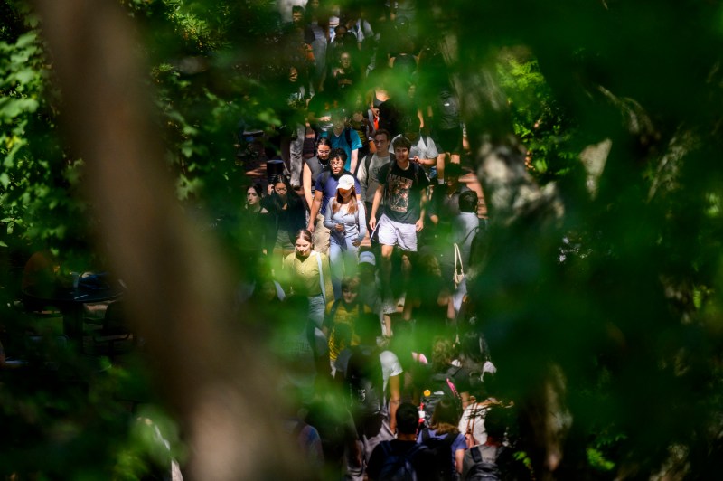 Students walk through campus. 