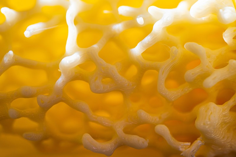 Macro view of spongy bone-like structure in bright yellow light, used to illustrate bone research.