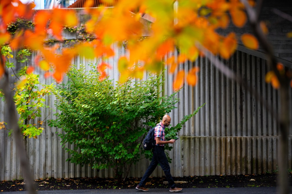 A person wearing dark pants, a plaid shirt and a backpack walks on a paved path next to a wooden fence. Vibrant orange and yellow autumn leaves hang in the foreground.