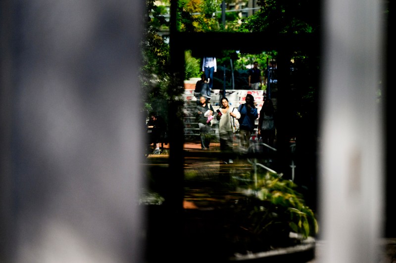 Students walk through campus.