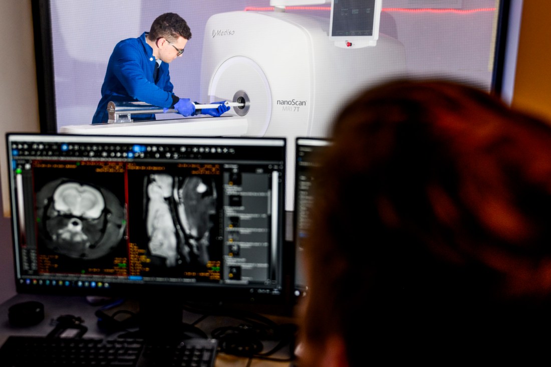 A researcher adjusts equipment on the Mediso Nanospect 7T MRI/PET scanner while colleagues review brain scan images on a monitor in the foreground.
