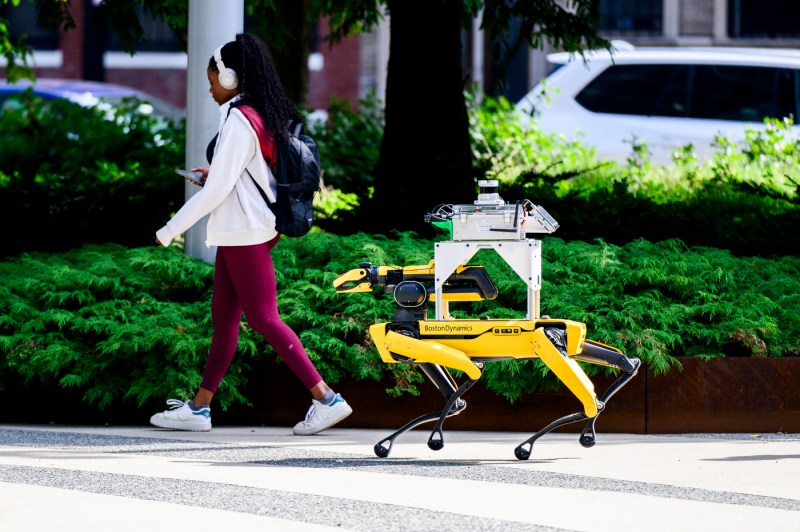 A robot walks near a student on the Boston campus.