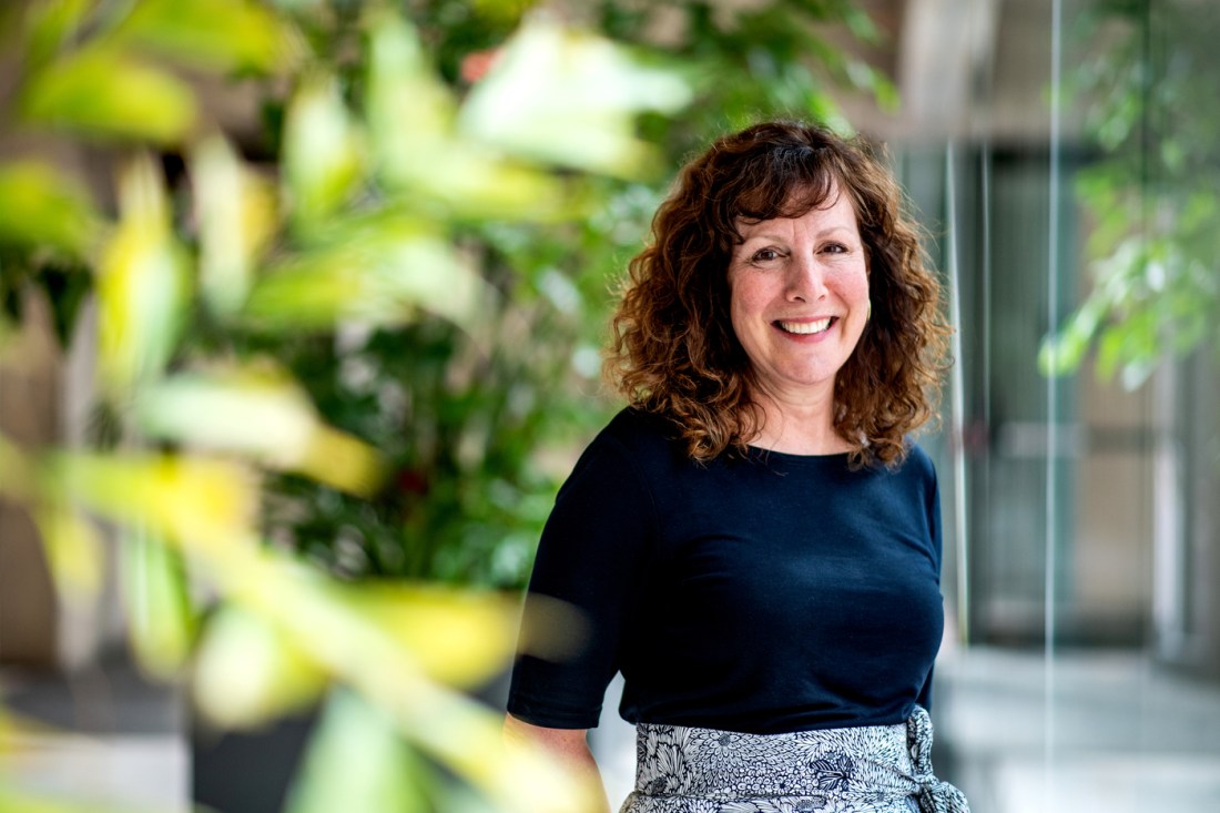 Carla Brodley, dean of inclusive computing, shown in a blue blouse and smiling for a portrait.