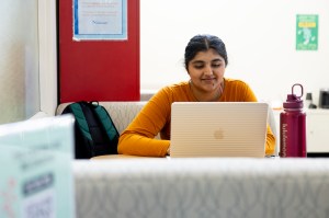 A female Northeastern student with dark hair shown in an orange sweater at work on a laptop.