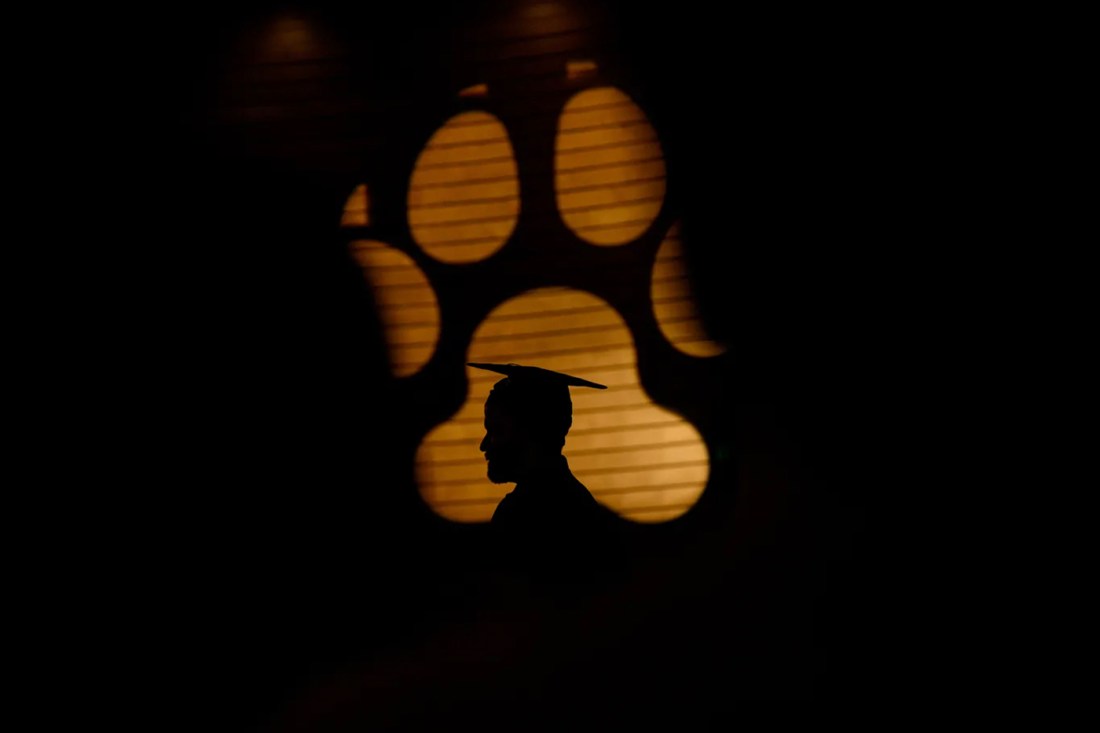 A graduate in cap and gown is silhouetted against a glowing husky paw print during the health sciences commencement ceremony.