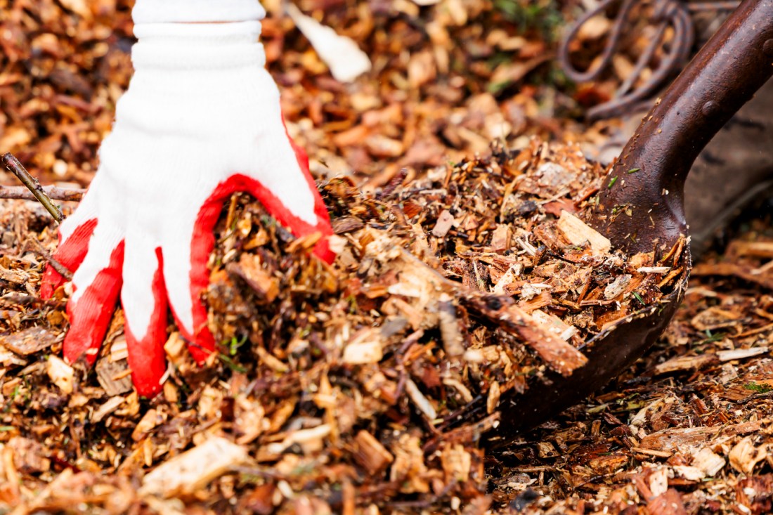 Photo of a gloved hand reaching down toward mulch on the ground.