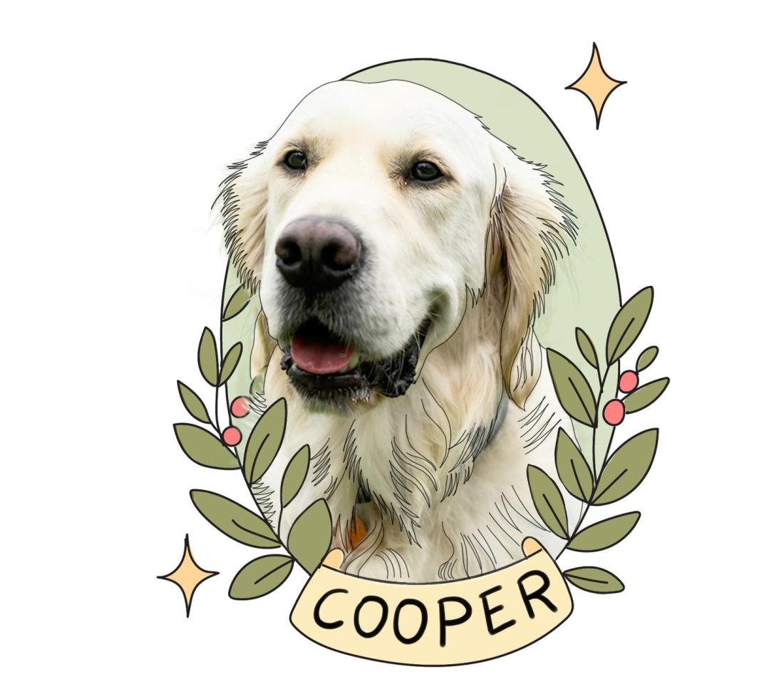 A photo of Cooper, a white dog with a big smile. His background is illustrated and includes flowers, sparkles, and his name.