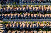 Rows of houses seen from above.