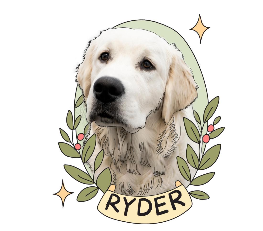 A photo of Ryder, a white dog with a big black nose. His background is illustrated and includes flowers, sparkles, and his name.