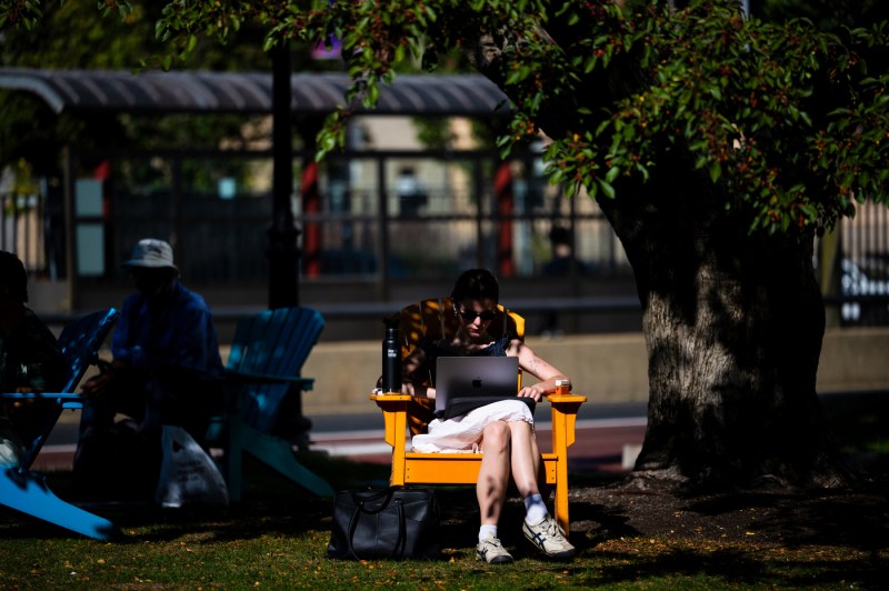 People sit in Adirondack chairs on the Boston campus.