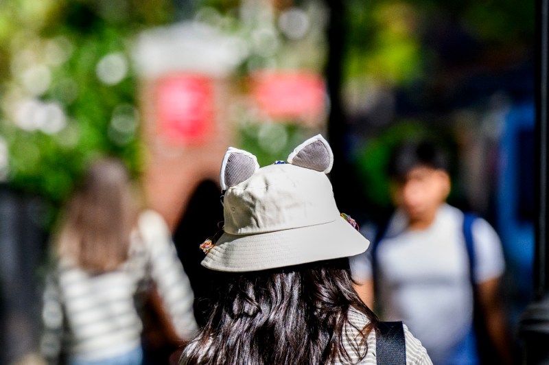 A person wears a bucket hat with cat ears.