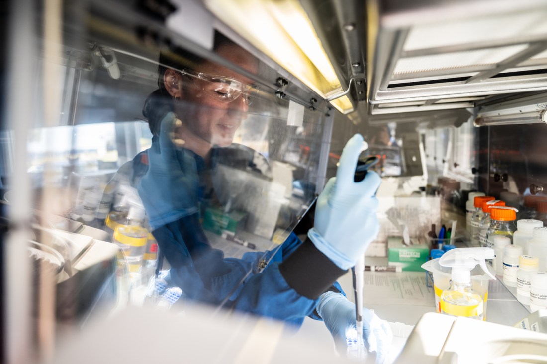 Lab assistant Emma Fitzgerald works with frozen tissue samples at Northeastern’s Marine Science Center in Nahant.