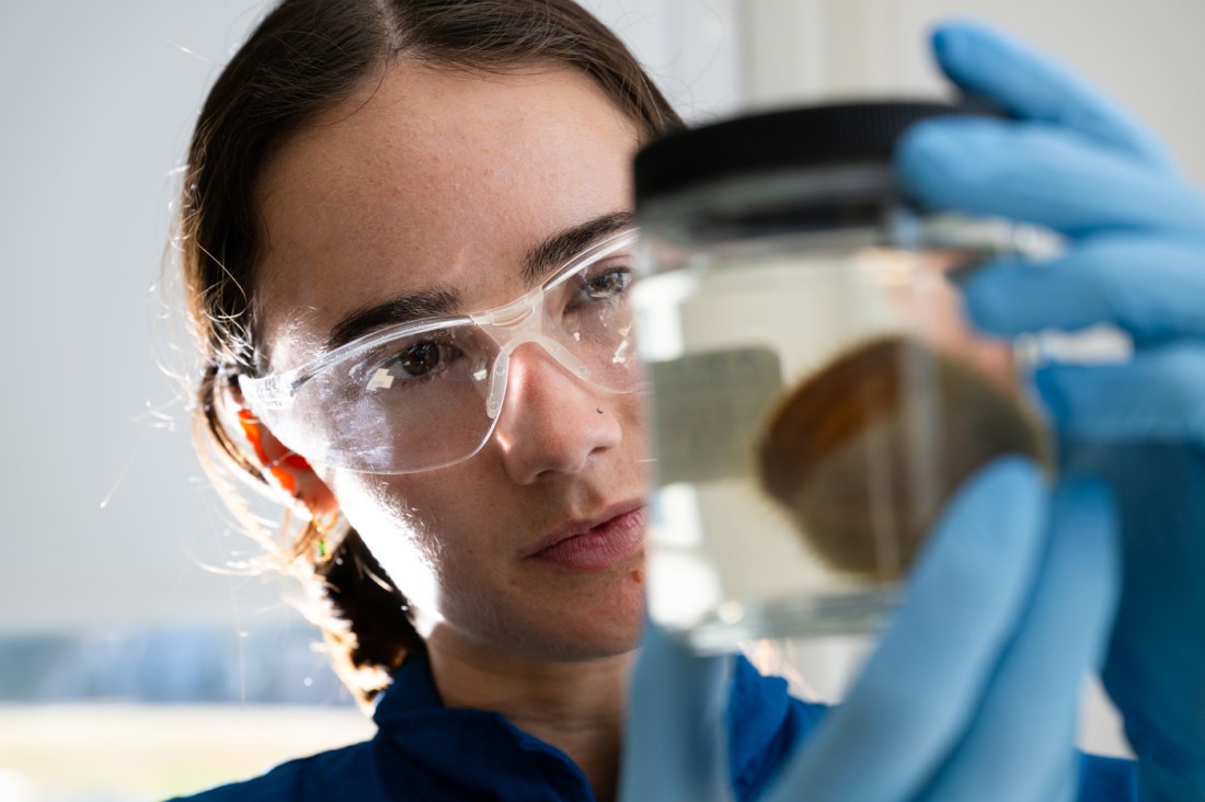 Emma Fitzgerald examines a specimen jar closely in the lab.