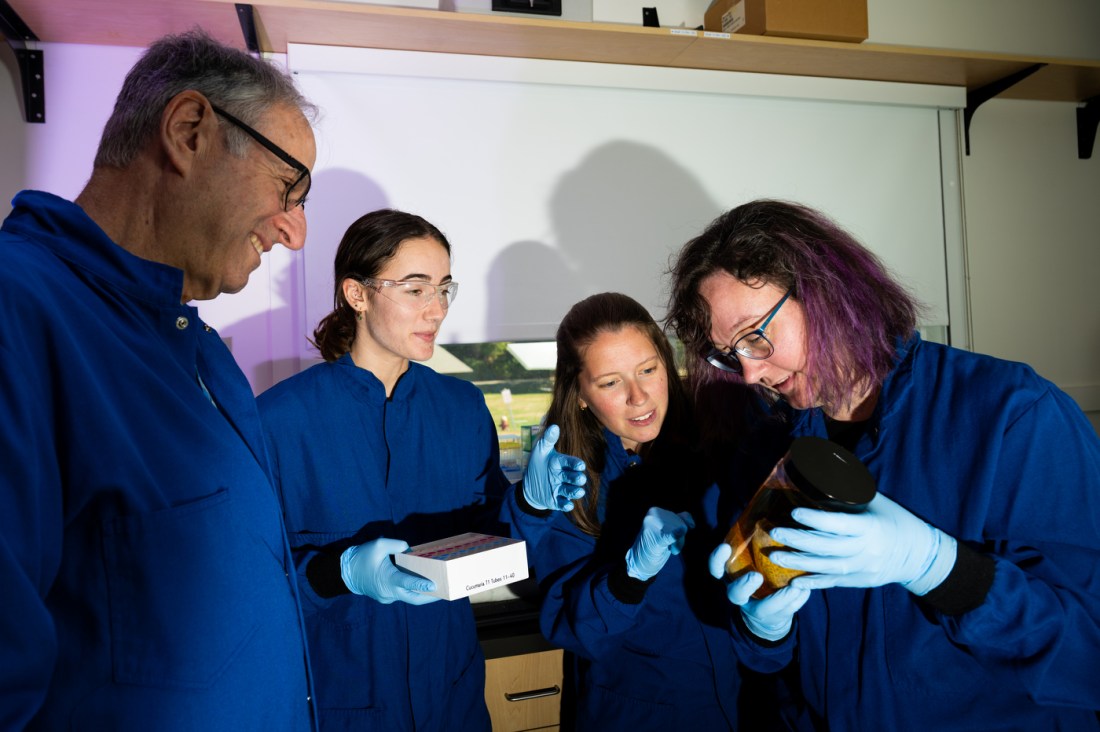 Dan Distel, Emma Fitzgerald, a lab assistant co-op, Rosie Falco Poulin, lab manager, and Hannah Appiah-Madson, collections manager, all seen in blue lab coats discussing something.