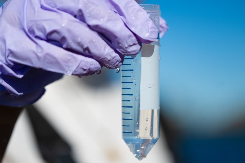 Grad student Hannah Bray holds up a test tube, while standing outside near the ocean.